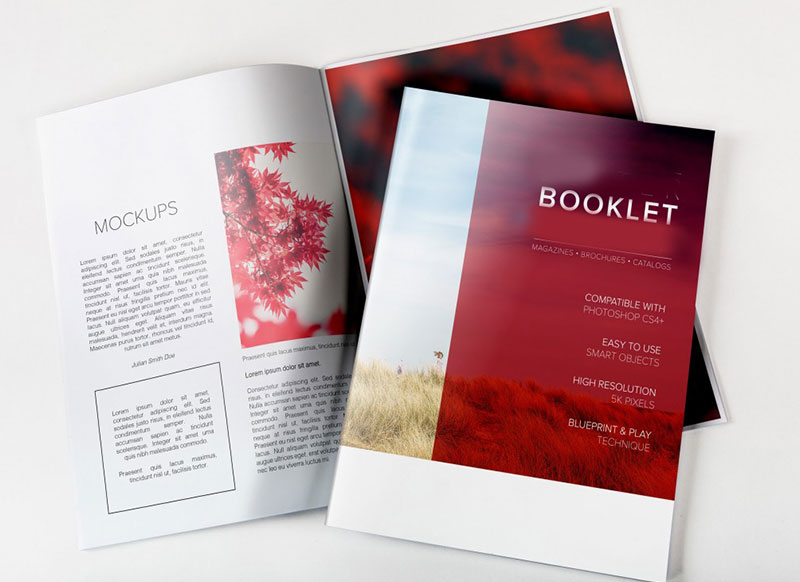 BOOKLET PRINTING SERVICES – A KNOWHOW
