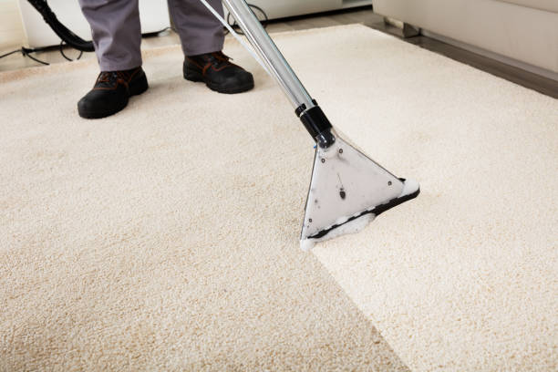 Looking for best eco friendly carpet cleaning services