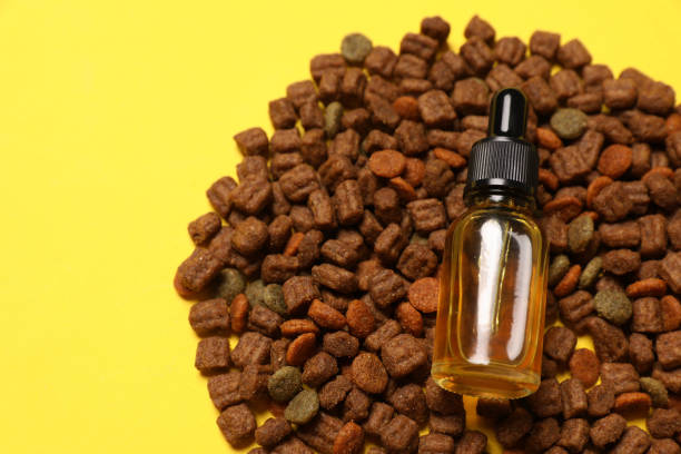 The Role of the Best CBD Oil in Providing Supportive Care for Dogs